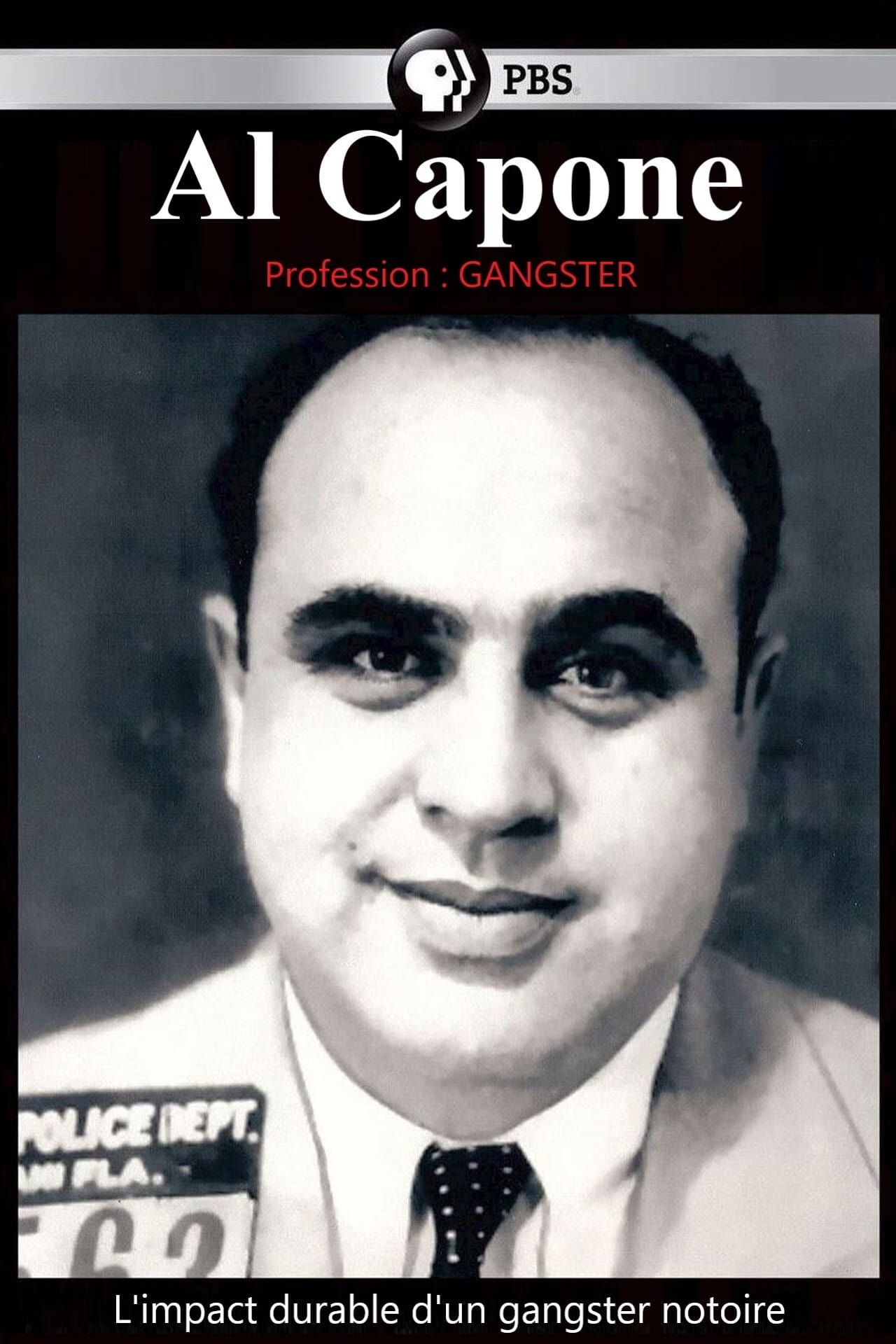 Al Capone - Profession : gangster
