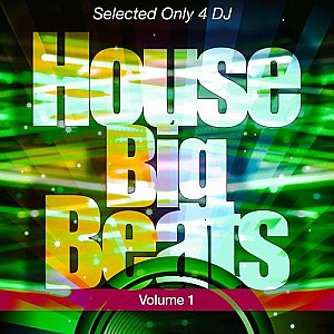 House Big Beats, Vol. 1